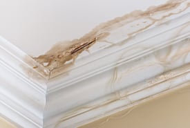 bigstock-Ceiling-Water-Damage-76755209.jpg