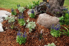 Garden Bed with Mulch.jpg