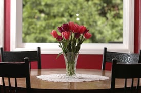 Fresh Red Rose on Kitchen Table