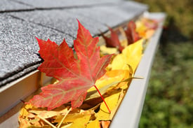 bigstock-Rain-Gutter-Full-Of-Leaves-4222402.jpg