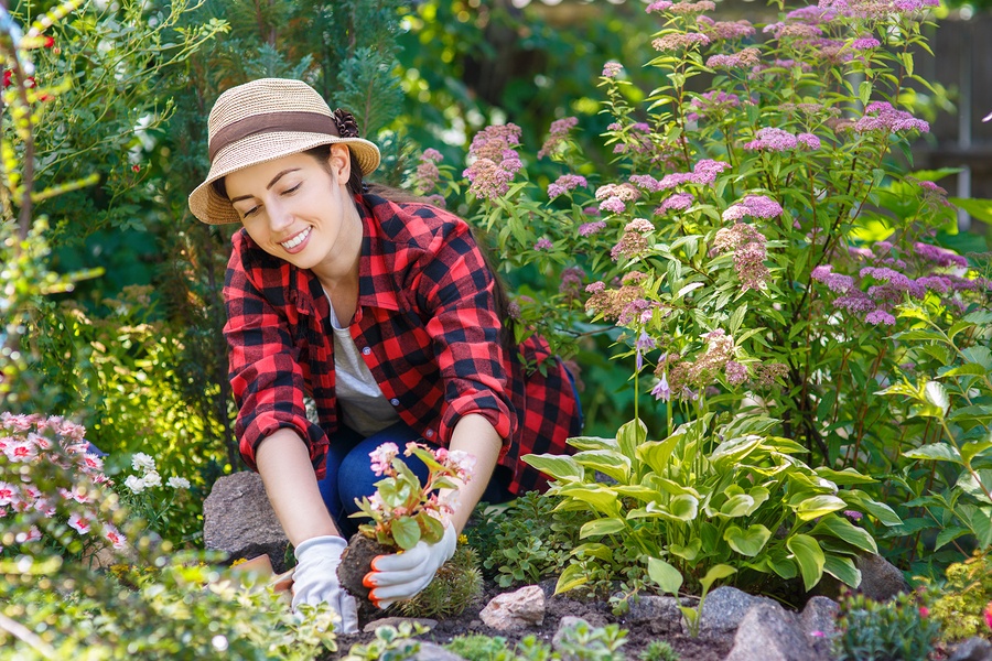 Create a Tranquil Outdoor Space in 5 Steps