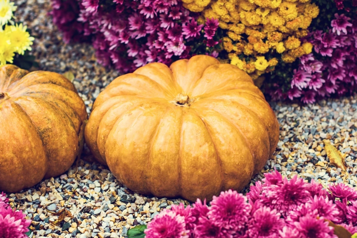 Add Fall Flare to Your Outdoor Spaces With These Tips