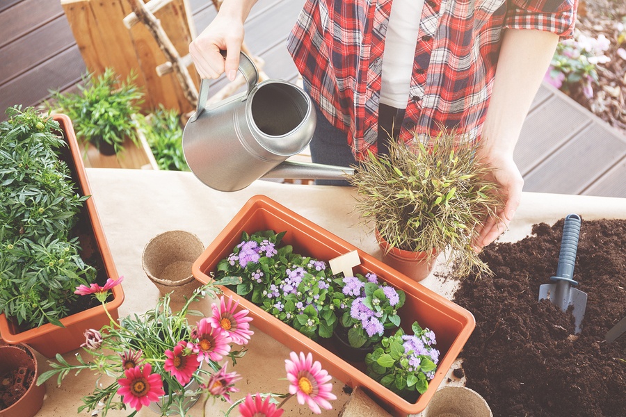 Refresh Your Patio With These Gardening Tips